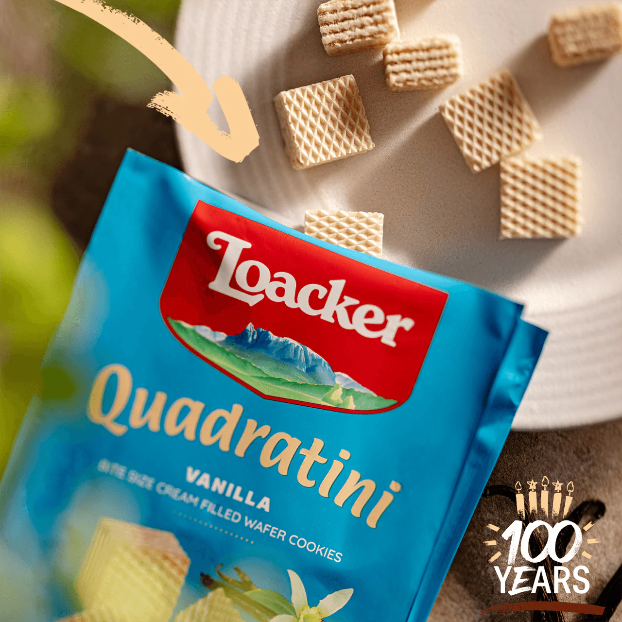 Quadratini Summer Value Pack - Image 4